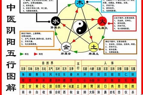 1984 五行|1984年属鼠五行属什么，84年属鼠人一生运势